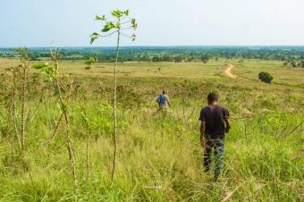 vente des parcelles non loin du littoral  muanda